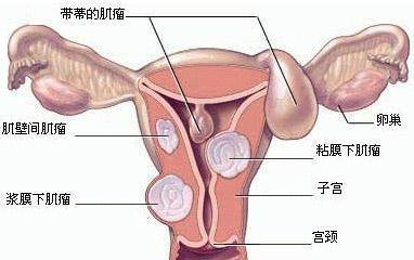 第518页