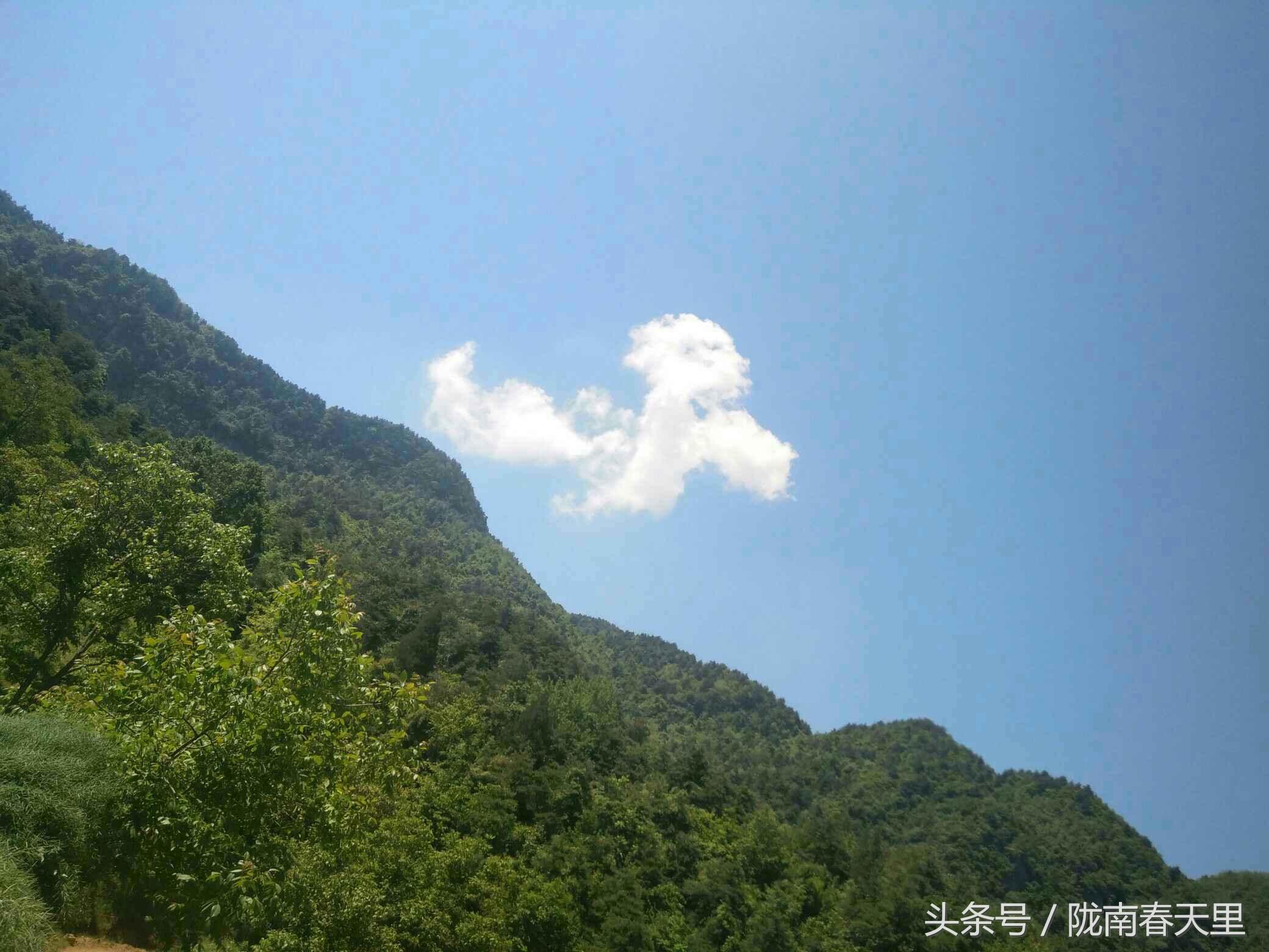 地方新闻 第5页