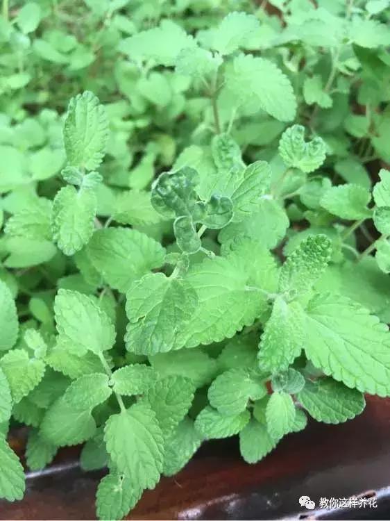最新资讯 第5页